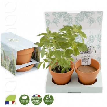 Kit de plantation en boite cadeau avec pot de terre cuite et graines